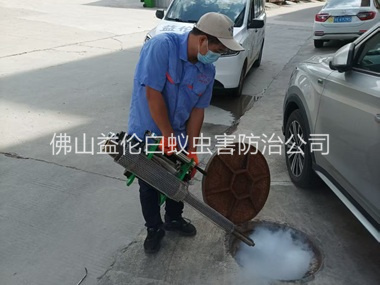 高明下水道热烟雾灭杀蚊虫、蟑螂工程